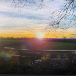 Meet your Posher, Lonnie